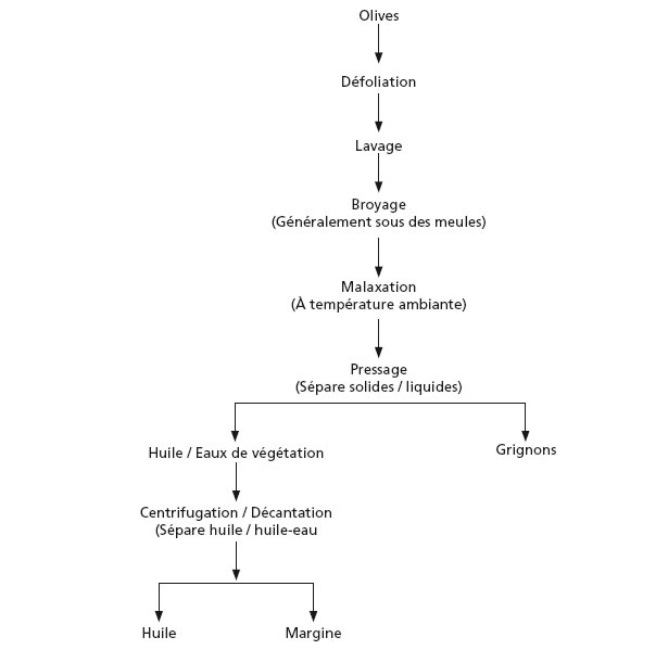 Estrazione dell'olio d'oliva con il sistema di pressa tradizionale