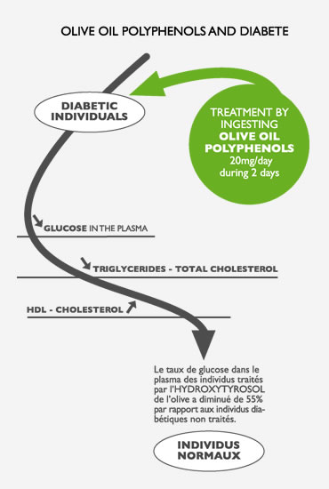 Olive oil polyphenols and diabete Olive oil polyphenols and diabete